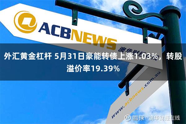 外汇黄金杠杆 5月31日豪能转债上涨1.03%，转股溢价率19.39%