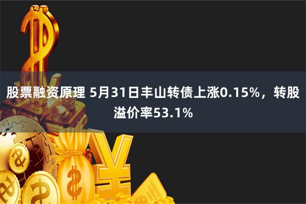 股票融资原理 5月31日丰山转债上涨0.15%，转股溢价率53.1%