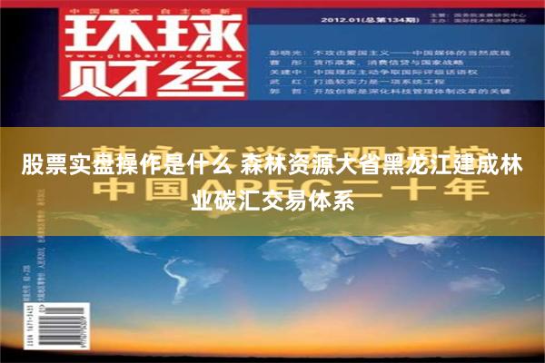 股票实盘操作是什么 森林资源大省黑龙江建成林业碳汇交易体系