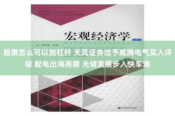 股票怎么可以加杠杆 天风证券给予威腾电气买入评级 配电出海亮眼 光储发展步入快车道