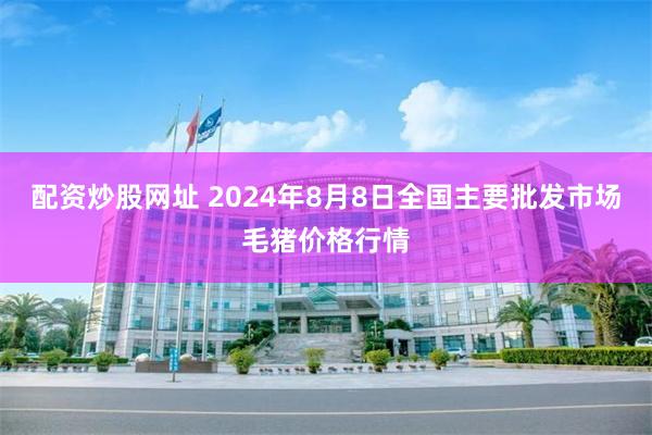 配资炒股网址 2024年8月8日全国主要批发市场毛猪价格行情