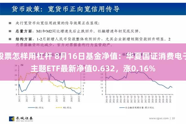 股票怎样用杠杆 8月16日基金净值：华夏国证消费电子主题ETF最新净值0.632，涨0.16%