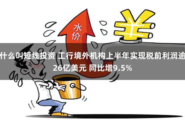 什么叫短线投资 工行境外机构上半年实现税前利润逾26亿美元 同比增9.5%