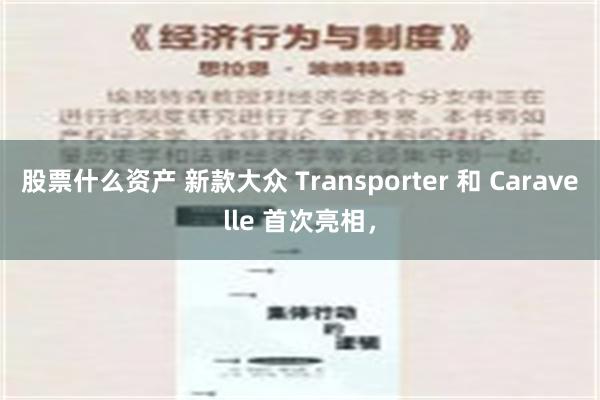 股票什么资产 新款大众 Transporter 和 Caravelle 首次亮相，