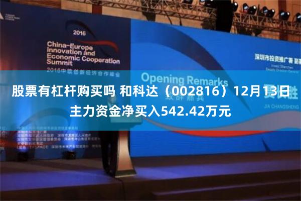 股票有杠杆购买吗 和科达（002816）12月13日主力资金净买入542.42万元