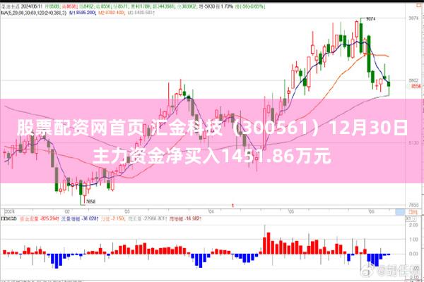 股票配资网首页 汇金科技（300561）12月30日主力资金净买入1451.86万元