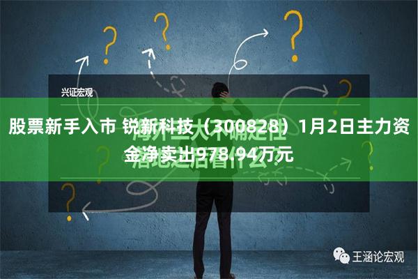 股票新手入市 锐新科技（300828）1月2日主力资金净卖出978.94万元