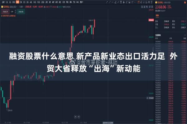 融资股票什么意思 新产品新业态出口活力足  外贸大省释放“出海”新动能