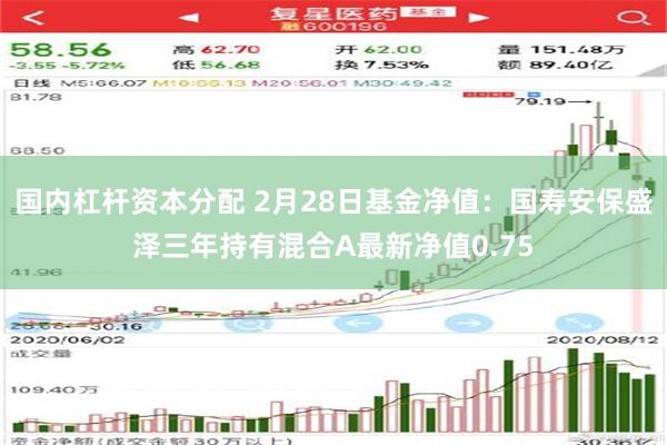 国内杠杆资本分配 2月28日基金净值：国寿安保盛泽三年持有混合A最新净值0.75